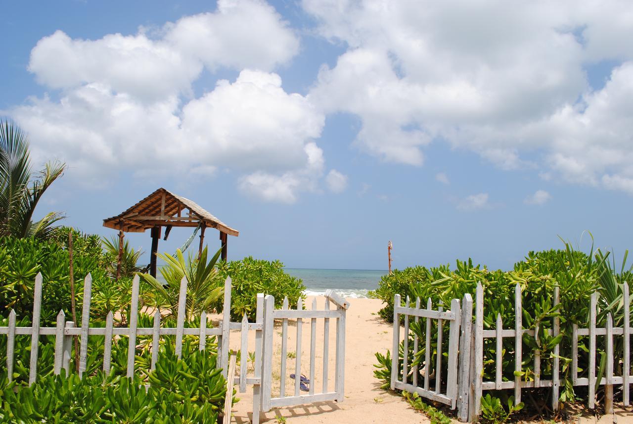 Asha Beach & Spa Tangalle Zewnętrze zdjęcie