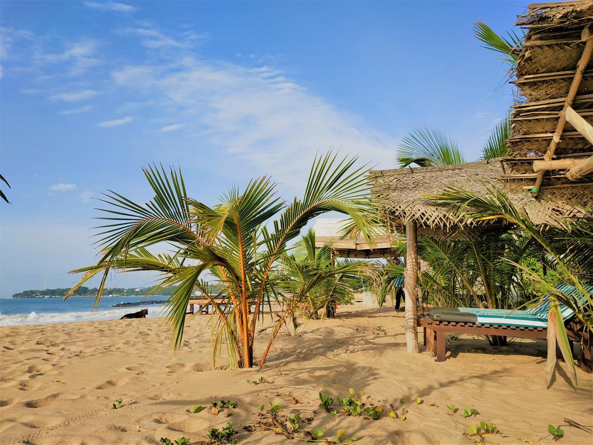 Asha Beach & Spa Tangalle Zewnętrze zdjęcie